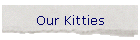 Our Kitties