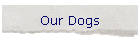 Our Dogs